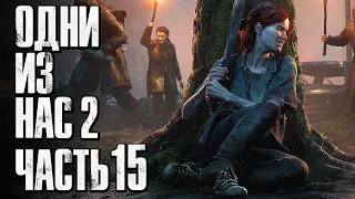 The Last of Us 2 [Одни из нас 2] ➤ Прохождение [4K] — Часть 15: ТЕРРИТОРИЯ ШРАМОВ