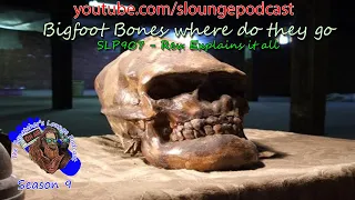 Bigfoot Bones Found in a Cave - SLP907