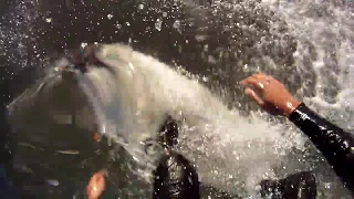 Surfing in South Africa GoPro Mouth mount