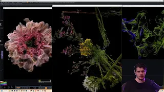 Point Clouds Part 2 - Exploding Flowers :: Touchdesigner Work Stream