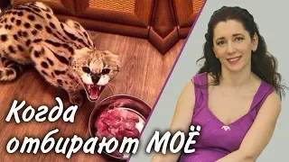 Как защититься от людей, которые отбирают у меня МОЁ?