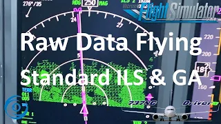 Raw Data Flying: Approach, Go Around and ILS Landing | Real 737 Pilot