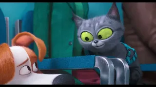 The Secret Life of Pets 2 - The Vet