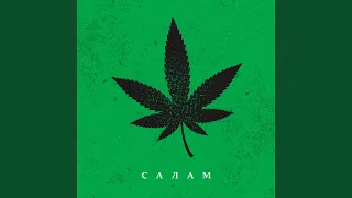 Салам