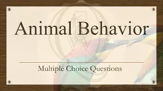 Animal Behavior | Multiple Choice Questions | Solved