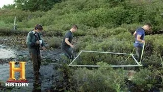 The Curse of Oak Island: Bonus - The Swamp (Season 4) | History