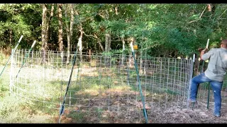 Building a corral style hog trap.