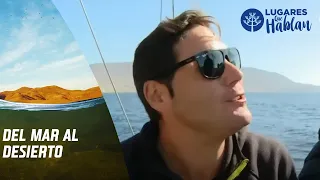 Navegando en Bahía Inglesa y recorriendo el Desierto Florido. Lugares que Hablan, Canal 13.