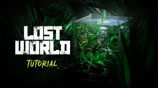 Natural Betta Fish Tank Setup | LOST WORLD | Aquascape Tutorial