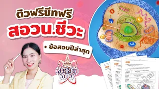 ติวฟรี สอวนชีวะ ชีทฟรี + ข้อสอบปีล่าสุด