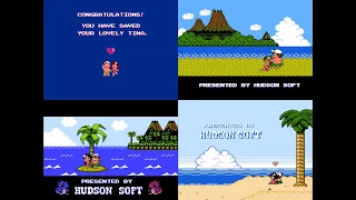 Adventure Island 1-4 - All Cutscenes and Endings (NES/FC) (4K)