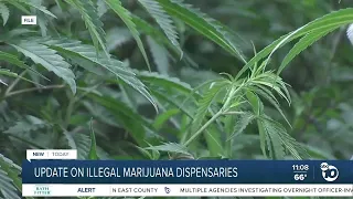 San Diego County to crack down on illegal marijuana dispensaries in East County