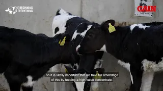 Calf Nutrition