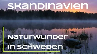 So beeindruckend ist Schweden - Skandinavien Part 4