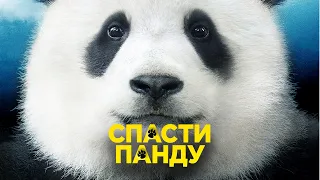 Спасти панду / Mr. Zoo: The Missing VIP (2020) / Комедия