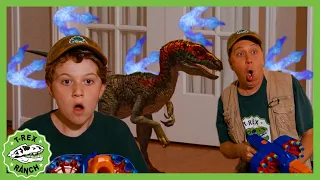 Who Let a RAPTOR in the HOUSE?! | T-Rex Ranch Dinosaur Videos for Kids