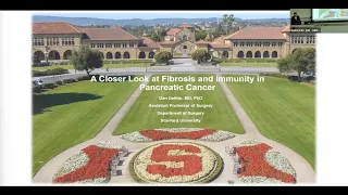 "A Closer Look At Fibrosis and Immunity in Pancreatic Cancer" by Dr. Dan Delitto