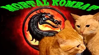 КОШАЧИЙ БОКС(БОЙ) - ДРАКА КОТОВ, КОШКИ ДЕРУТСЯ- КОШАЧЬИ ПРИКОЛЫ/ MORTAL KOMBAT - RUSSIAN CAT BOX