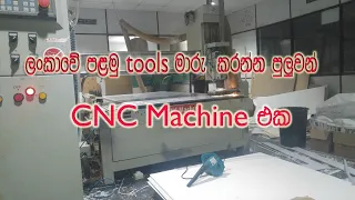 Sri lanka new CNC router - 3D Wood Carving  machine