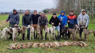 Galgos de Monte Aguila-Temporada 2022