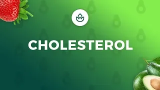 JAK OBNIŻYĆ CHOLESTEROL? 💉