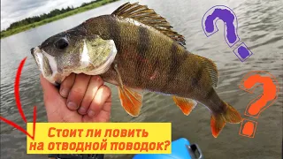 Ловля крупного окуня на отводной поводок/Эта снасть ловить 100%