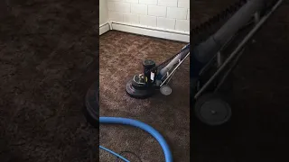 Rotovac 360XL incredible before and after. Must see