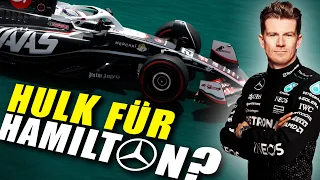 Hülkenberg als Hamilton-Ersatz? Danner: Toto Wolff sollte zuschlagen!