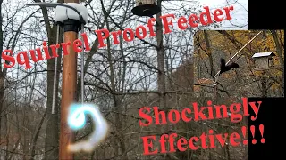 Keeping squirrels out of the bird feeder with electricity