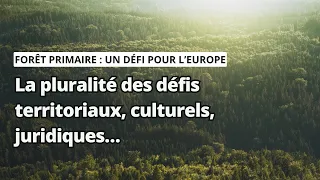 La pluralité des défis territoriaux, culturels, juridiques…