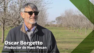 La nuez pecan sigue creciendo en Entre Ríos