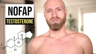 Does NoFap increase Testosterone? (the Science)