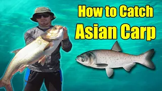 How to Catch Asian Carp - Four Fun Fishing Methods