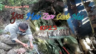 hunting Yos Hav Zoov Cuab Nas EP25 24/12/2022