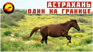 ОДИН НА ГРАНИЦЕ РОССИИ / РЫБАЛКА И ПРИРОДА АСТРАХАНИ