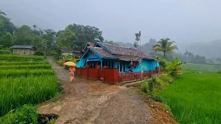 romantic rain in natural village | very beautiful and refreshing | Walking in the rain