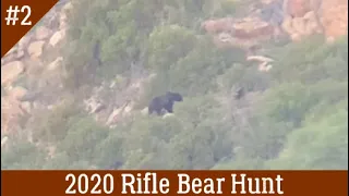 We Found The Bears! | FALL SERIES (Arizona Rifle Bear Hunt Pt. 2)