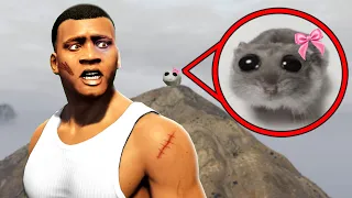 GTA 5 - ICH habe SAD HAMSTER gefunden!!🥺👉🏻👈🏻