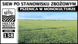 Brak Nawozów? | PSZENICA W MONOKULTURZE, CZYLI SIEW PO STANOWISKU ZBOŻOWYM  | ODCINEK 138