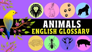 Animals English Glossary | Learn Basic English Vocabulary | Pronunciation | Animal Names With Images