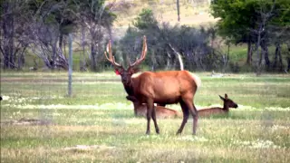 Saskatchewan Tourism Promotional Video