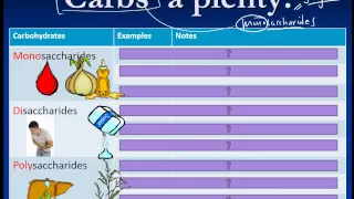 Carbohydrates, Lipids, Proteins (IB Biology)