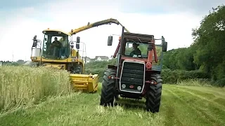 GRASSMEN - Old School | Classic Massey's