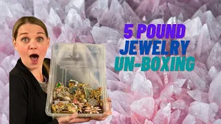 Goodwill Vintage Mystery Costume Jewelry Unboxing - 5 POUNDS Brooches!