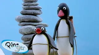 Pingu Goes on Trips 🐧 | Fisher-Price | Cartoons For Kids