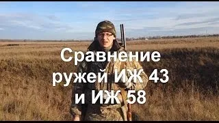 Сравнение ружей ИЖ 43 и ИЖ 58 (comparison of guns IZ 43 and IZ 58).