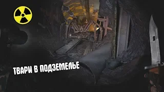 S.T.A.L.K.E.R. НОВЫЕ МУТАНТЫ В СБОРКЕ DEMOSFEN НА Call of Chernobyl.