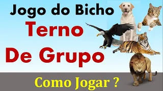 Jogo do Bicho - Terno De Grupo - Como Jogar e Como Você Ganha ?