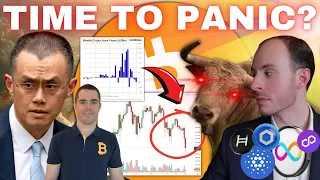 Time To Panic?! Congress Going After SEC And Gensler! CZ Sentence! Roger Ver Arrested!? Big Outflows