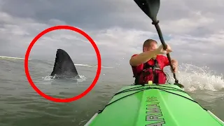 5 Shark Encounters that will Terrorize you